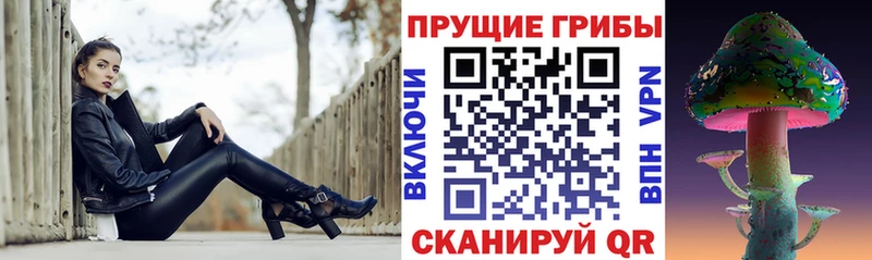 Псилоцибиновые грибы Psilocybe Белогорск