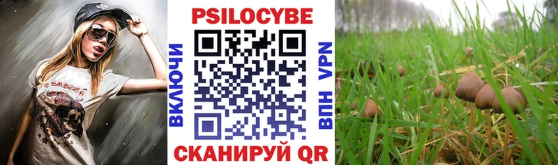 Псилоцибиновые грибы Psilocybine cubensis  Белогорск 