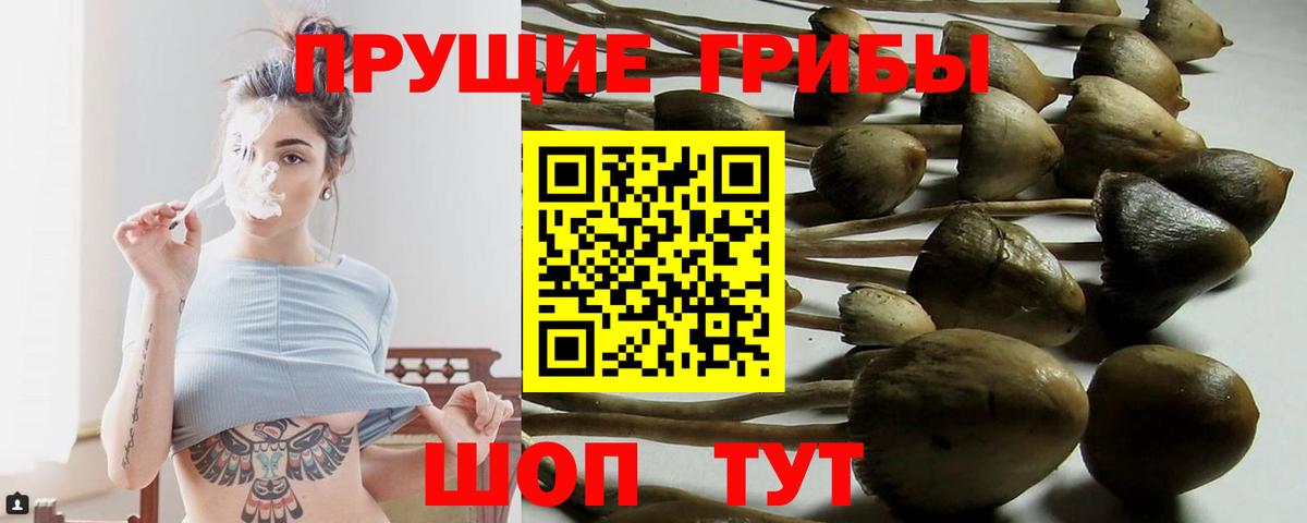 Галлюциногенные грибы мицелий  Галлюциногенные грибы прущие грибы  Вход с VPN  Белогорск 